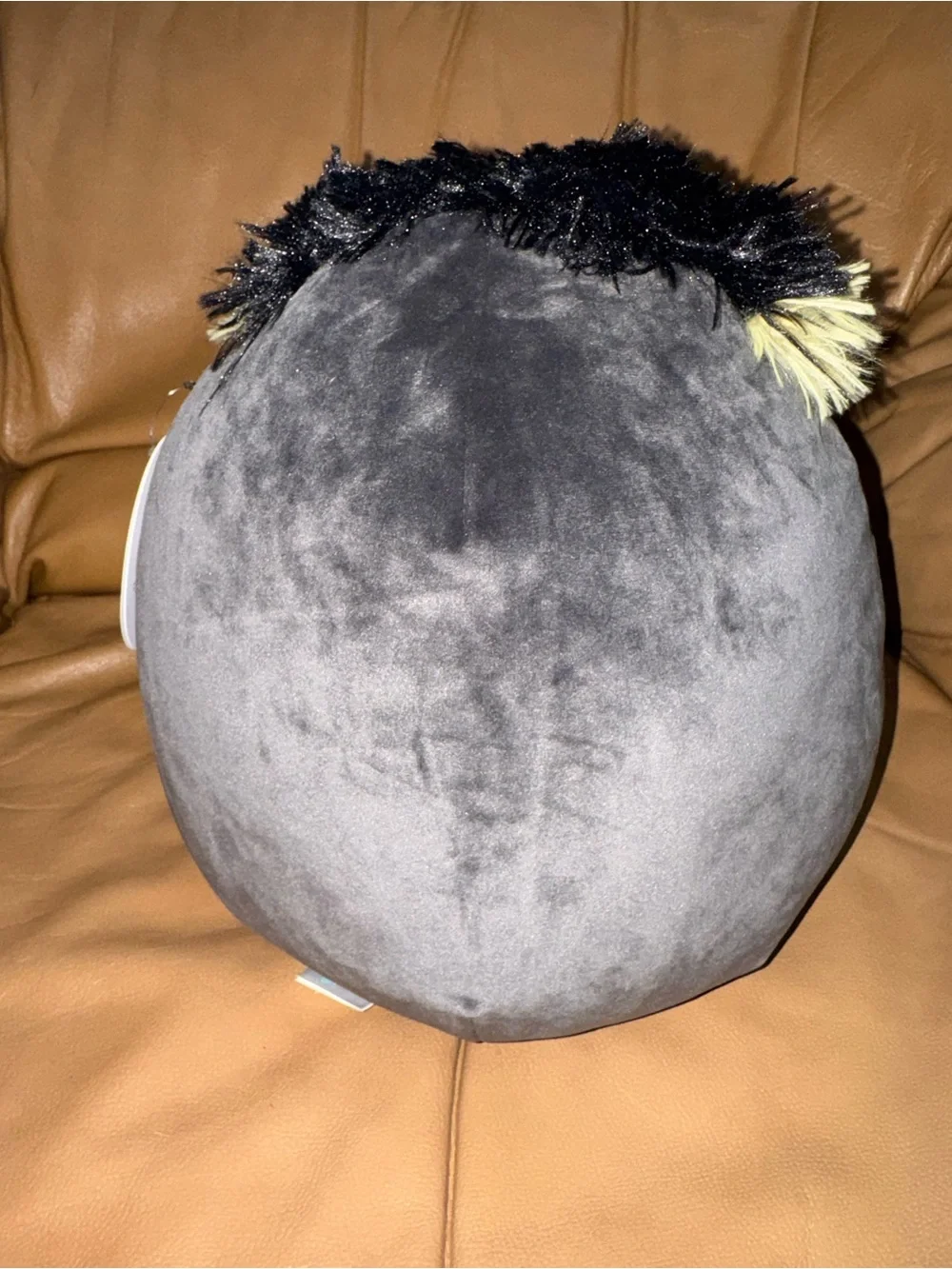 Lockwood the penguin squishmallow 11 inch